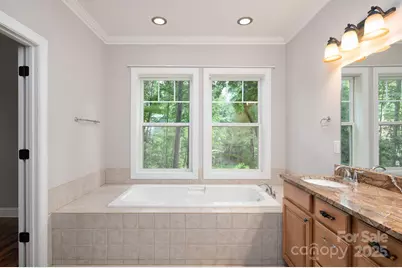 17 Bohemian Lane, Asheville, NC 28805 - Photo 20