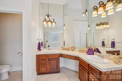 329 Stumpy Creek Road, Mooresville, NC 28117 - Photo 16