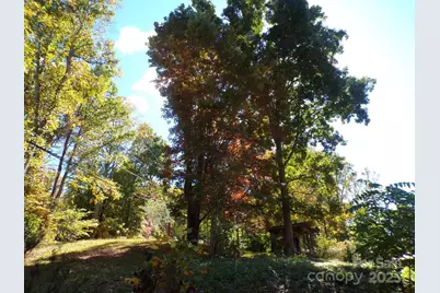 620 Hutch Mountain Road, Fletcher, NC 28732 - Photo 22