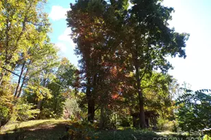 620 Hutch Mountain Rd, Fletcher, NC 28732 - Photo 22