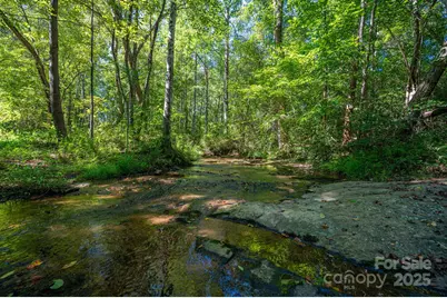 448 Dave Peterson Lane, Vale, NC 28168 - Photo 40