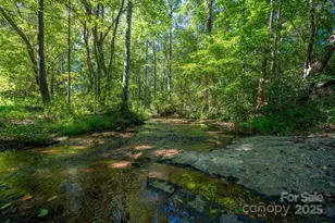 448 Dave Peterson Ln, Vale, NC 28168 - Photo 40