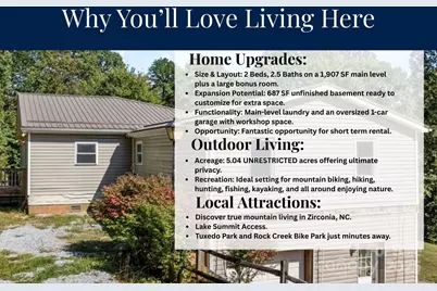 473 Eli Capps Road, Zirconia, NC 28790 - Photo 4