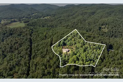 473 Eli Capps Road, Zirconia, NC 28790 - Photo 2