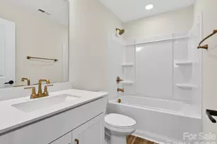 225 Alluvium Ln, Waxhaw, NC 28173 - Photo 24