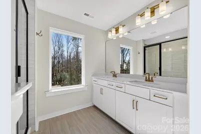 225 Alluvium Lane, Waxhaw, NC 28173 - Photo 20