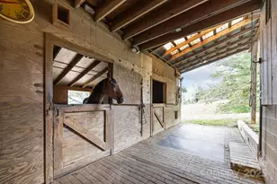 71 Kuykendall Branch, Asheville, NC 28804 - Photo 28