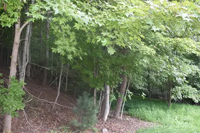 129 Captains Drive #221, Nebo, NC 28761 - Photo 14