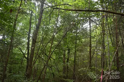 129 Captains Drive #221, Nebo, NC 28761 - Photo 10