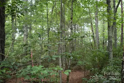 129 Captains Drive #221, Nebo, NC 28761 - Photo 8