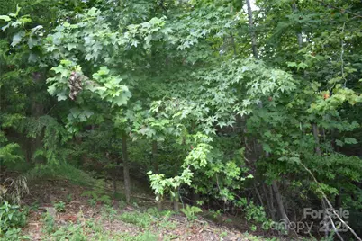 129 Captains Drive #221, Nebo, NC 28761 - Photo 18