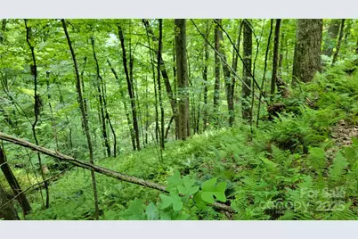 Tbd Frozen Creek Road, Brevard, NC 28712 - Photo 26