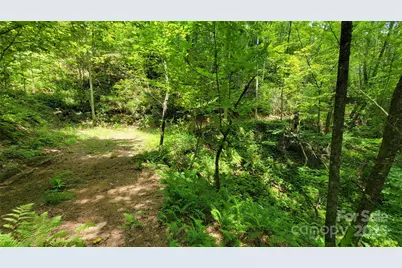 Tbd Frozen Creek Road, Brevard, NC 28712 - Photo 28