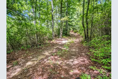 Tbd Frozen Creek Road, Brevard, NC 28712 - Photo 6