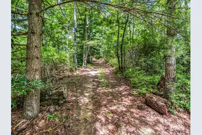 Tbd Frozen Creek Road, Brevard, NC 28712 - Photo 2