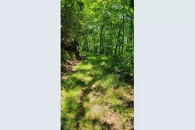 Tbd Frozen Creek Road, Brevard, NC 28712 - Photo 22