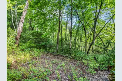 Tbd Frozen Creek Road, Brevard, NC 28712 - Photo 4