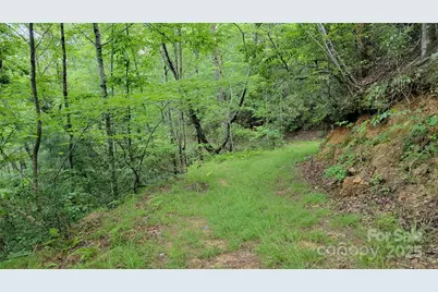 Tbd Frozen Creek Road, Brevard, NC 28712 - Photo 30