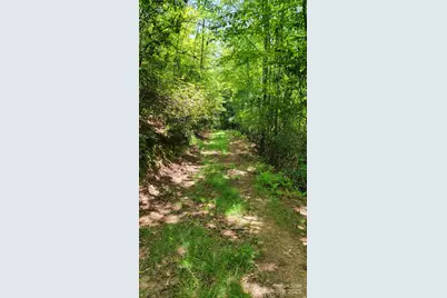 Tbd Frozen Creek Road, Brevard, NC 28712 - Photo 24