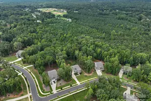 12009 Wild Ginger Ln, Charlotte, NC 28227 - Photo 10