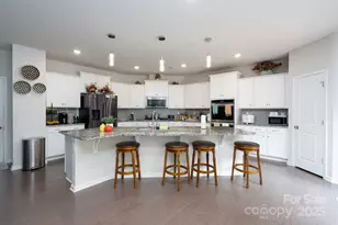 12009 Wild Ginger Ln, Charlotte, NC 28227 - Photo 22