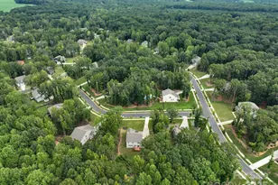 12009 Wild Ginger Ln, Charlotte, NC 28227 - Photo 8