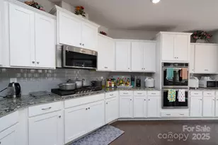 12009 Wild Ginger Ln, Charlotte, NC 28227 - Photo 20