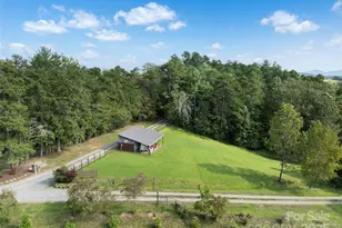 298 Lone Pine Rd, Alexander, NC 28701 - Photo 46