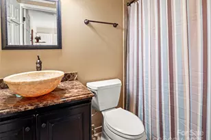 298 Lone Pine Rd, Alexander, NC 28701 - Photo 30