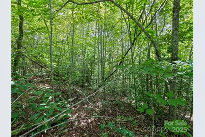 Lot #46 Hazel Hollow Drive, Sylva, NC 28779 - Photo 10