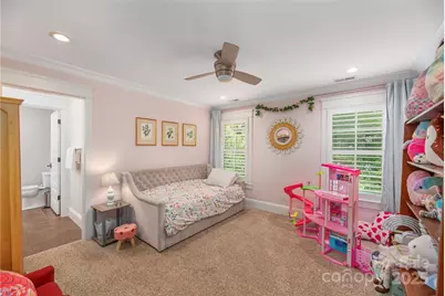 663 Wickhams Fancy Drive, Biltmore Lake, NC 28715 - Photo 24