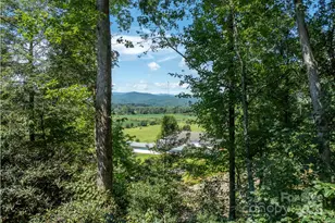 64 Cherry Ridge Rd, Pisgah Forest, NC 28768 - Photo 2