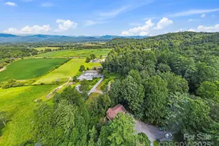 64 Cherry Ridge Rd, Pisgah Forest, NC 28768 - Photo 36