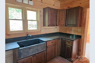 266 Potomac Falls Drive, Black Mountain, NC 28711 - Photo 8