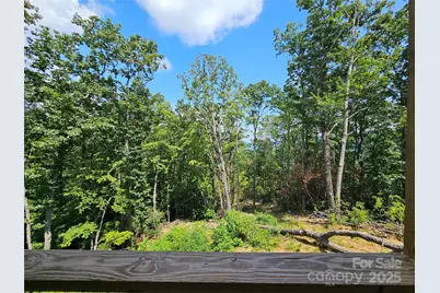 266 Potomac Falls Drive, Black Mountain, NC 28711 - Photo 34
