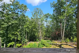 266 Potomac Falls Dr, Black Mountain, NC 28711 - Photo 34