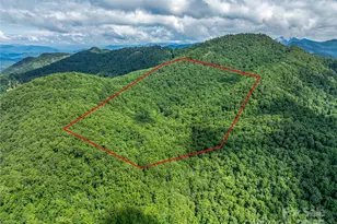 415 Shady Grv Rd, Tuckasegee, NC 28783 - Photo 48