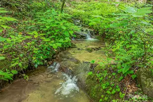 415 Shady Grv Rd, Tuckasegee, NC 28783 - Photo 46