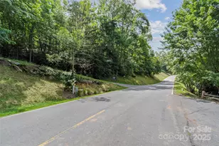Special Parcel 1 Mountain Air Dr, Burnsville, NC 28714 - Photo 2