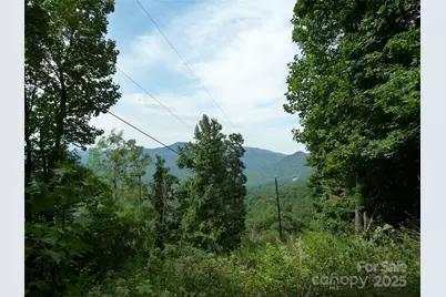 999 Skyuka Mountain Road #Lot 9, Columbus, NC 28722 - Photo 2