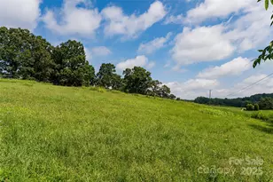 36 Brooks Branch Rd, Leicester, NC 28748 - Photo 46