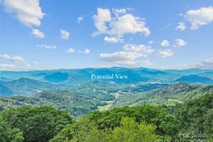 Lot 9 Wormy Chestnut Rd, Burnsville, NC 28714 - Photo 2