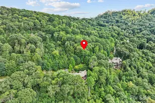 Lot 9 Wormy Chestnut Rd, Burnsville, NC 28714 - Photo 14