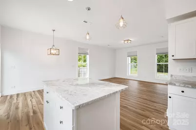 523 Shepherd Street, Hendersonville, NC 28792 - Photo 20