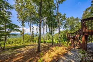 82 Running Ridge Rd, Asheville, NC 28804 - Photo 38