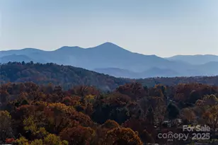 608 Storybook Villas Trl, Asheville, NC 28804 - Photo 4