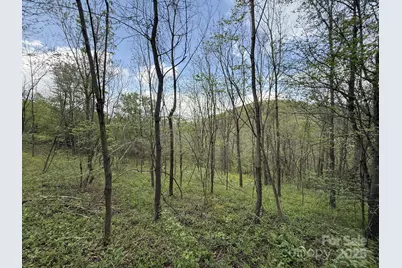 284 Northridge Drive, Canton, NC 28716 - Photo 6