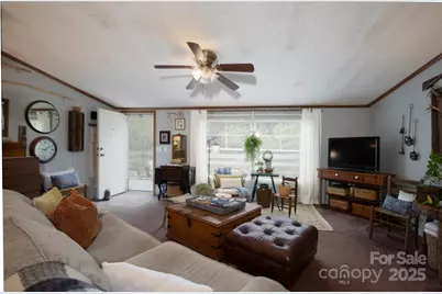 614 Upper Doe Bag Road, Green Mountain, NC 28740 - Photo 24