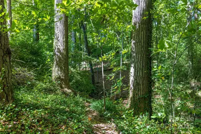 5 Orrinel Way, Asheville, NC 28806 - Photo 42