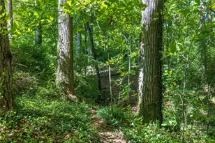 5 Orrinel Wy, Asheville, NC 28806 - Photo 42